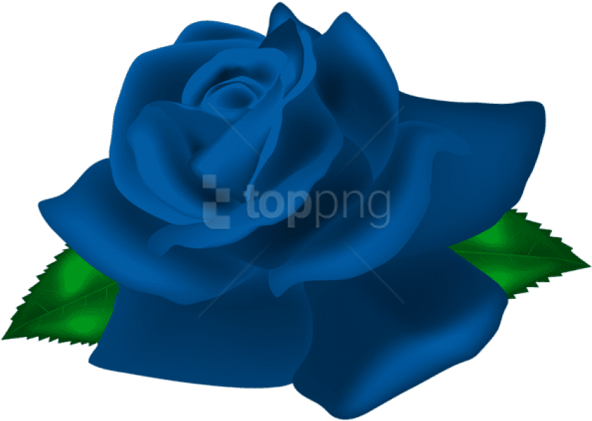 Free Png Download Blue Rose Deco Png Images Background - Rose Png Img (850x603), Png Download