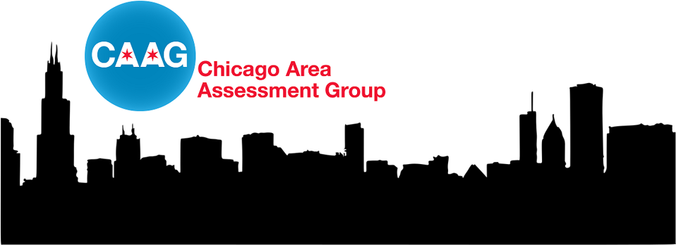 Since 2008, The Chicago Area Assessment Group Has Sought - Chicago (957x384), Png Download