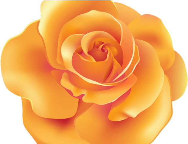 Spain Clipart Beauty And The Beast Rose - Orange Rose Clipart Png (640x480), Png Download