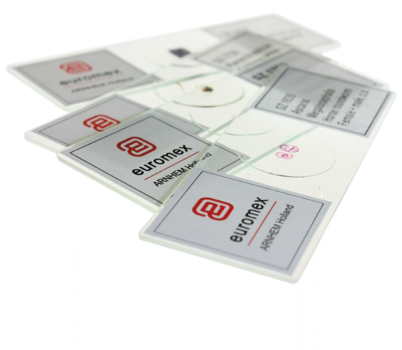 Prepared Slides - Poker (563x750), Png Download