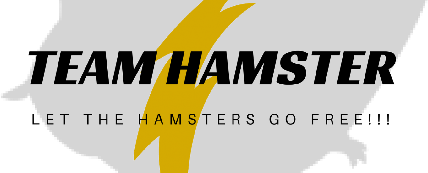 Cropped Tshirt Logo New - Anatel (1500x552), Png Download