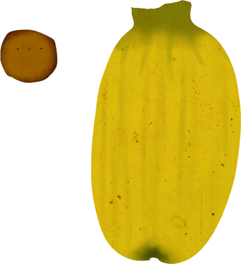 Proj - Banana Uv Map (1024x1024), Png Download