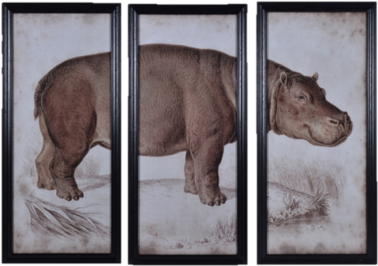 Nature Hippo Wall Art - Timothy Oulton Hippo (615x697), Png Download
