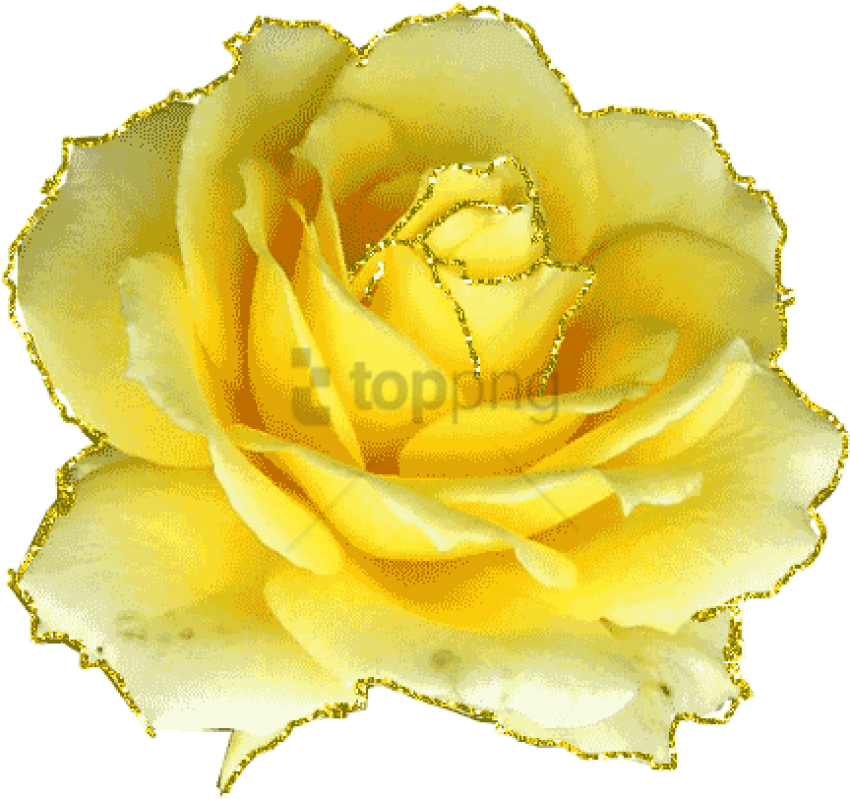 Free Png Download Gifs Et Tubes Fleurs - Animated Gif Yellow Roses (850x799), Png Download