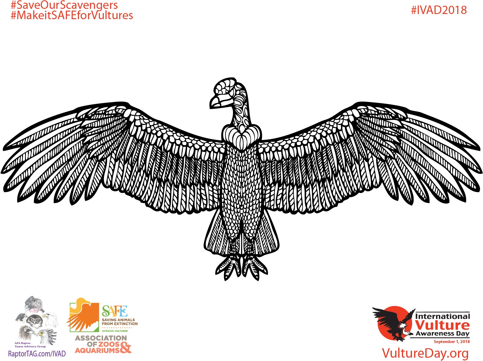 Download The - Golden Eagle (1725x1350), Png Download