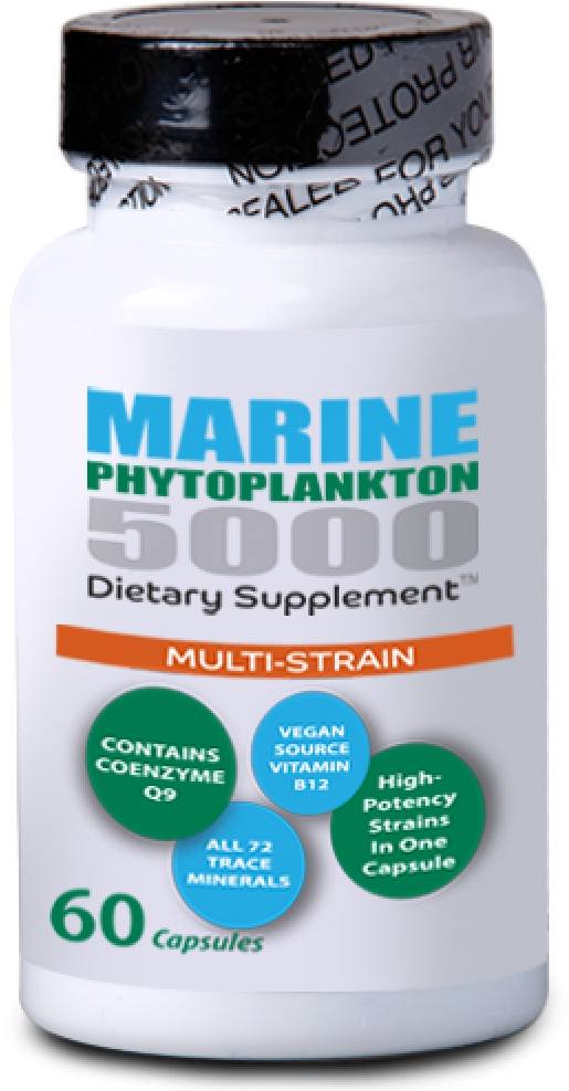 More Views - Fungus (1000x1000), Png Download