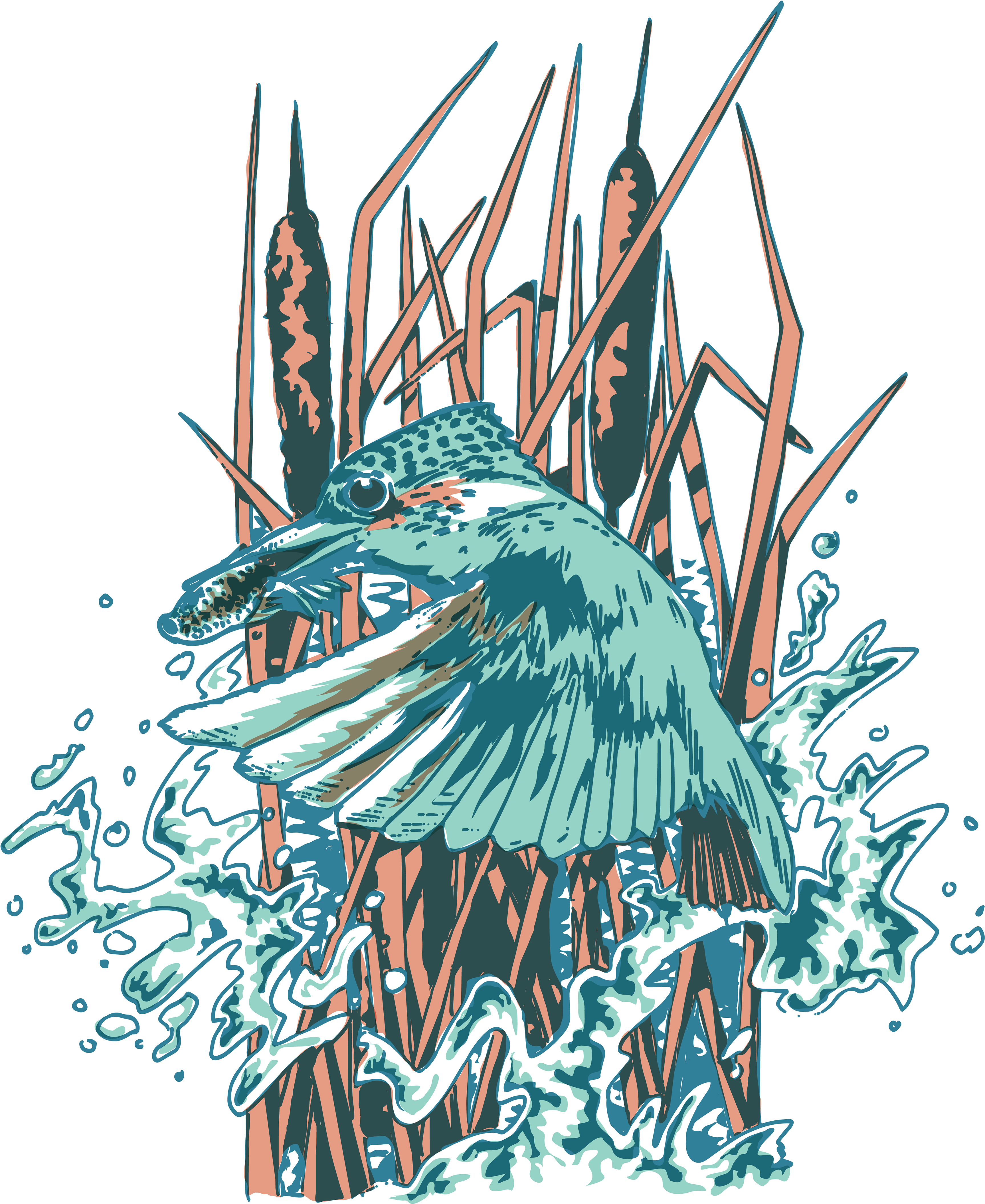 Kingfisher - Illustration (3840x4667), Png Download