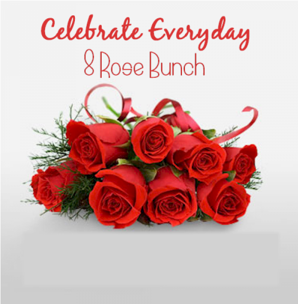 Download 8 Roses Bunch All Colours Rose Full Hd PNG Image with No