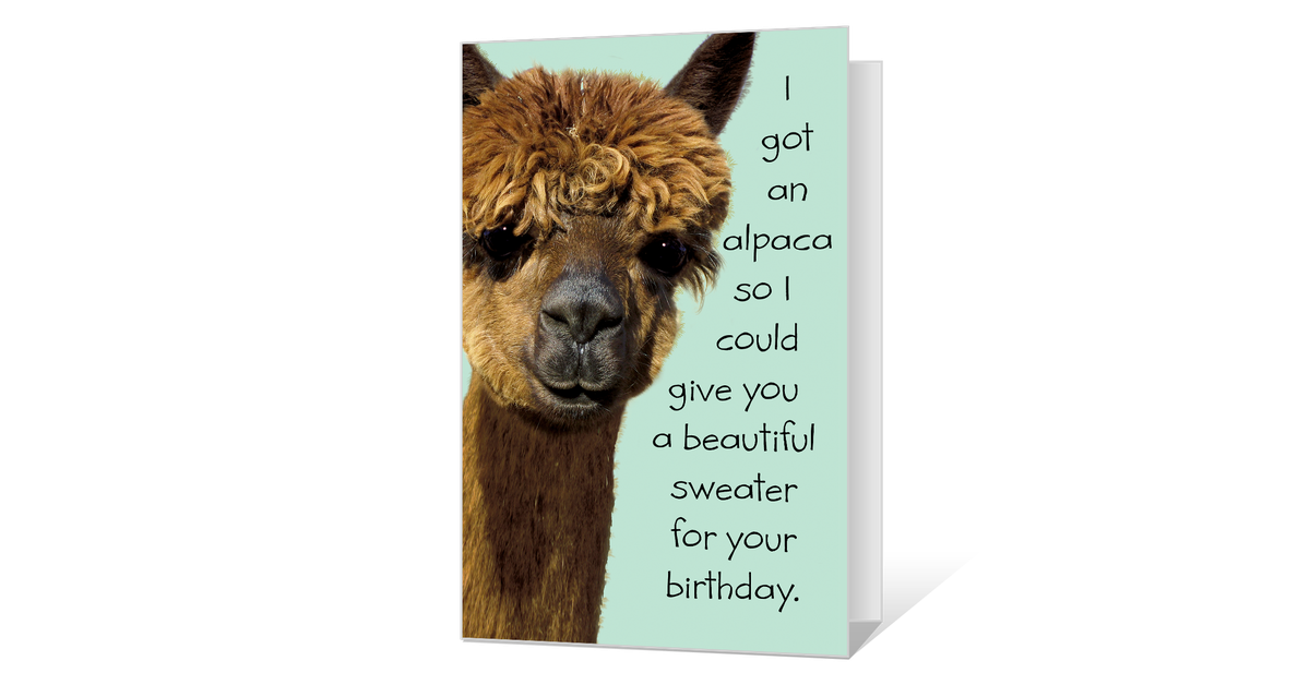 Llama (1200x628), Png Download