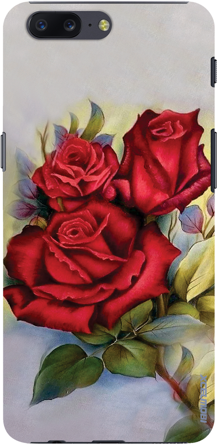 Garden Roses (558x1031), Png Download