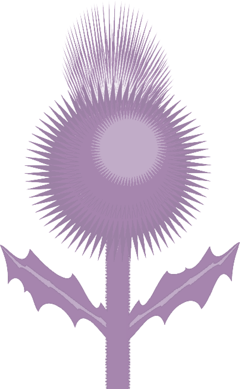 Mb Image/png - Archiprix International Moscow 2013 (800x1292), Png Download
