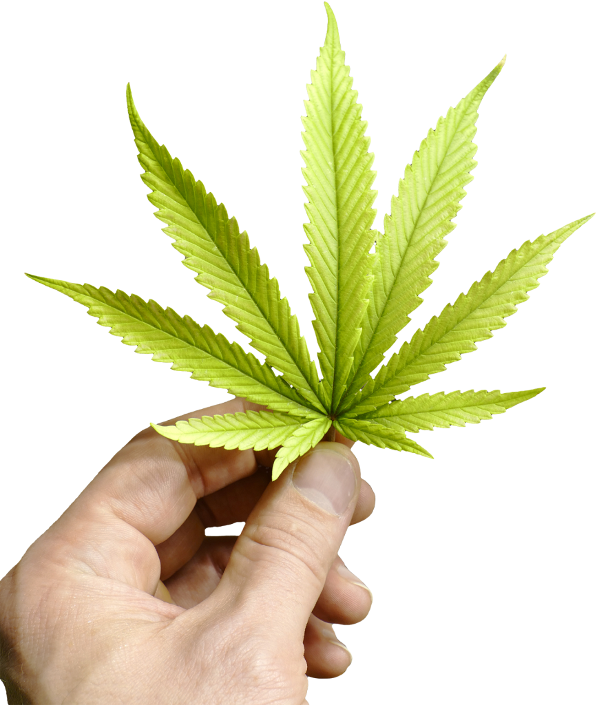 тарелки 3д сублимация. клин шкворня камаз. кардлист. кардлист. карты заграничных банков freedom jusan.