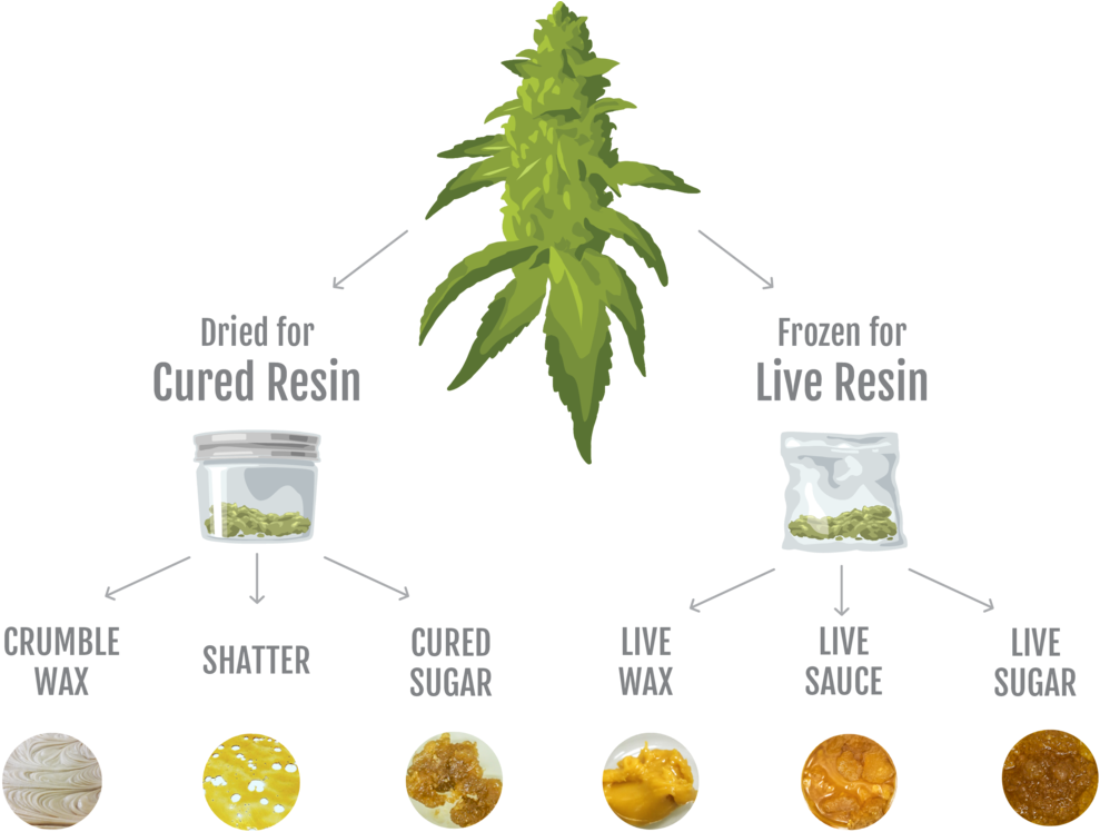 Infographic - Cannabis Concentrates (1000x760), Png Download