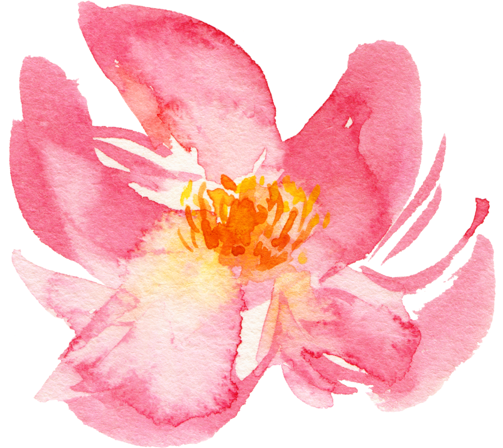 Flower Naana (1000x877), Png Download