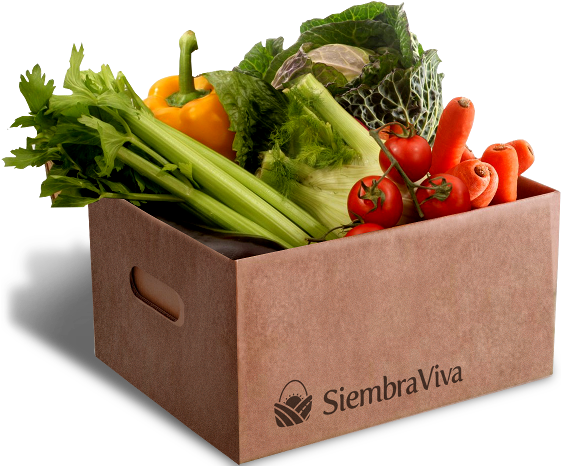 Frutas Y Verduras - Soil & Seed Organic Vegetable Small Box (560x524), Png Download