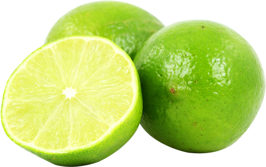 Hortilisto - Nombre Cientifico Del Limon Sutil (552x421), Png Download