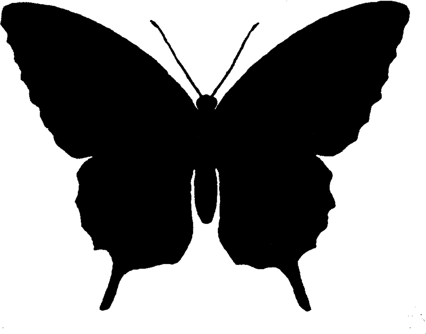 Butterfly Silhouette Png - Butterfly Silhouette (1600x1274), Png Download