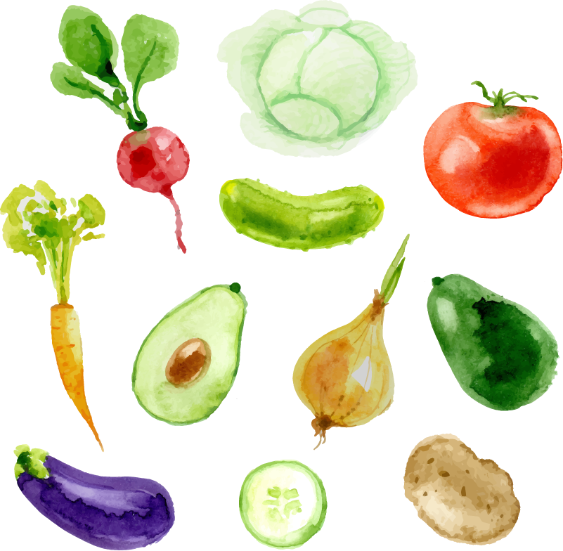 Vinilo Cocina Frutas Y Verduras - Diet Food Journal: Diet Journal To Write Th Calories (801x784), Png Download