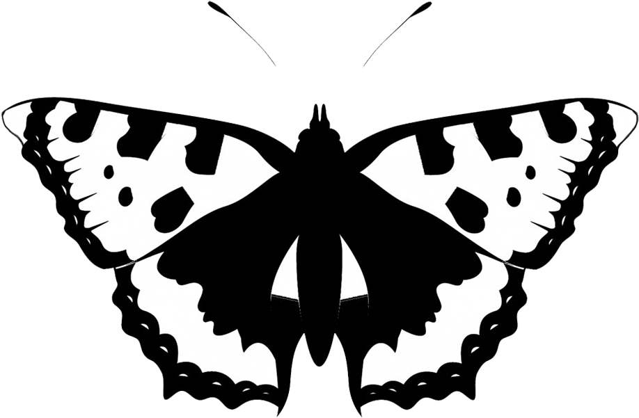 Black White Butterfly Silhouette - Minimalist Butterfly (945x623), Png Download