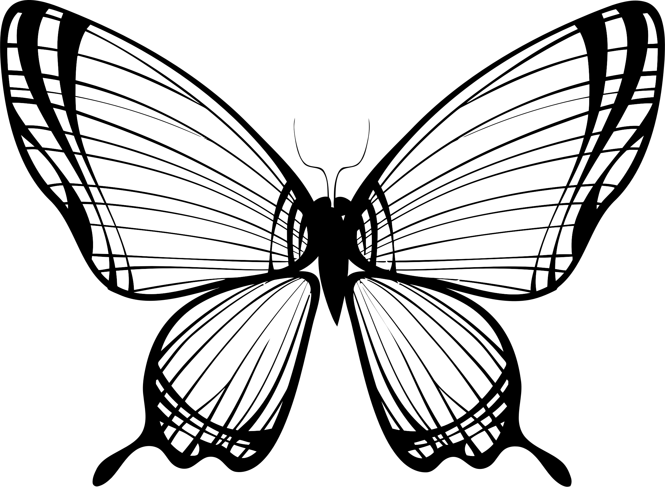 Big Image - Butterfly On Print 1 Poster (2316x1697), Png Download