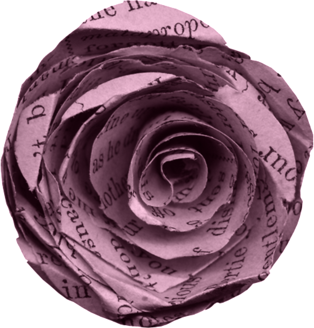 67j58picucx 1024 X Oss Process=image/quality,q 80/watermark - Garden Roses (1024x1072), Png Download