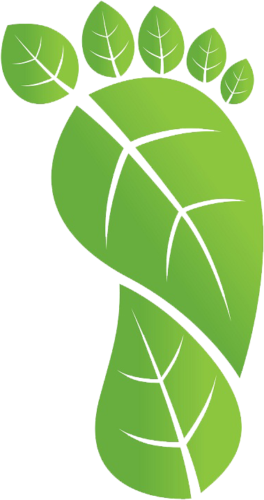 Five Tips For Reducing Your Carbon Footprint In - World Environment Day 2017 Logo (526x775), Png Download