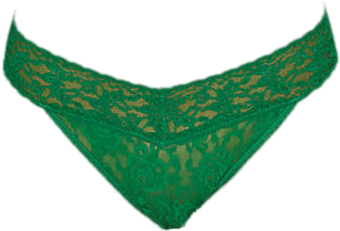 Clothes - Underwear - Panties (335x398), Png Download