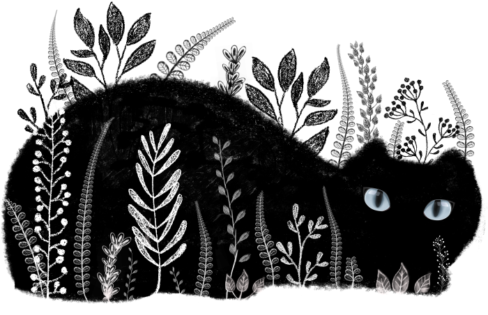 Banner Library This Kitty Is By - Shirt (700x500), Png Download