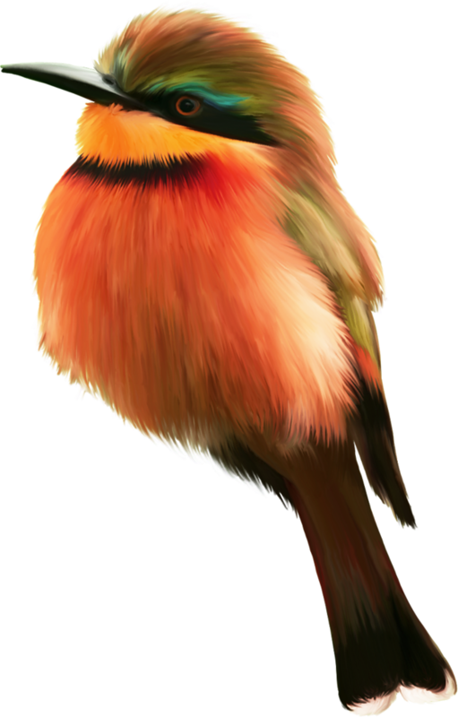 Mixed Media - Animais De Cor Laranja (511x800), Png Download