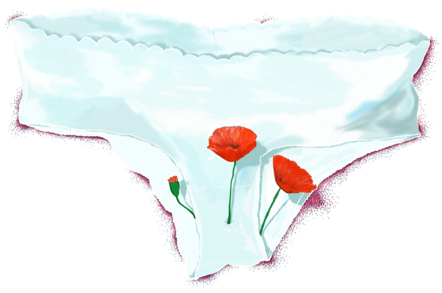 Blossoming Underwear (750x563), Png Download