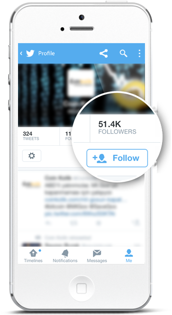 Instagram Twitter - Instagram Followers On Iphone (369x657), Png Download