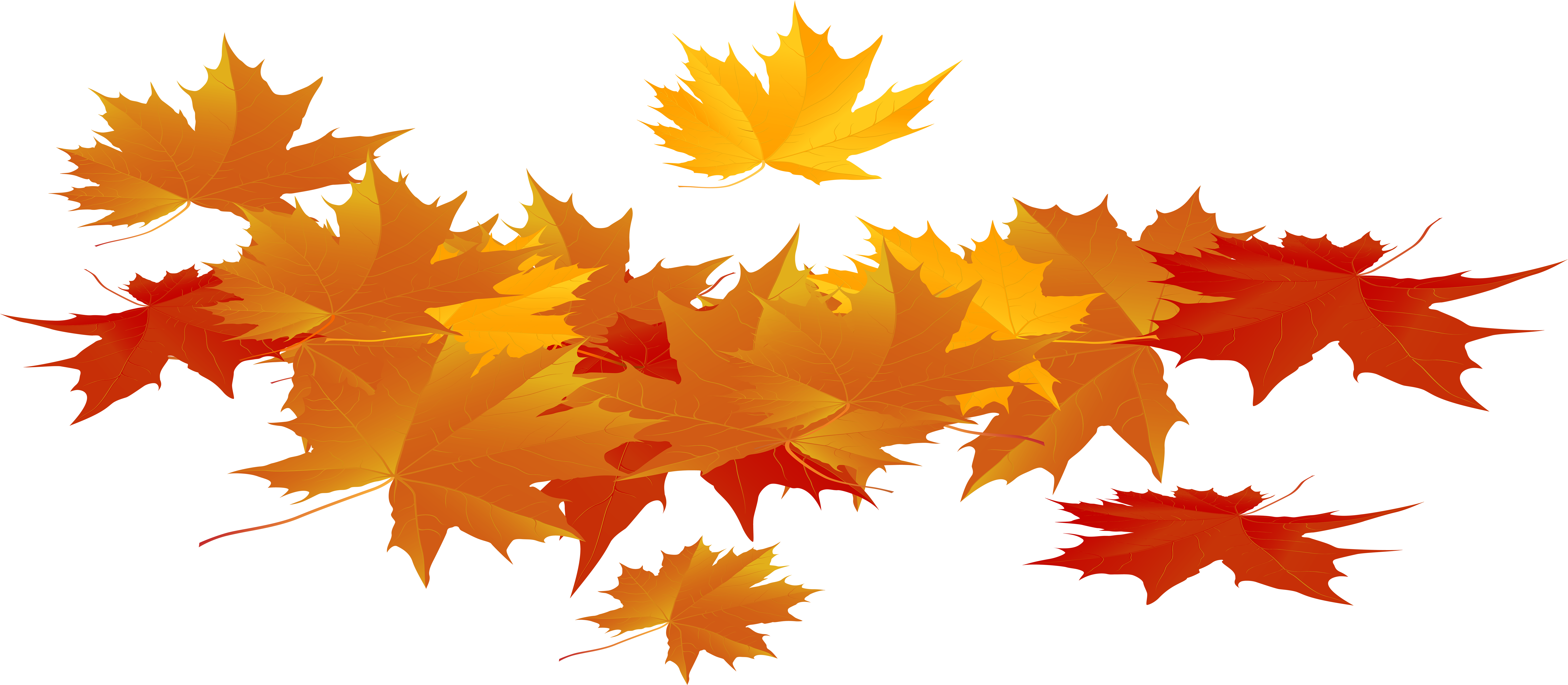 Clip Art (8000x3526), Png Download