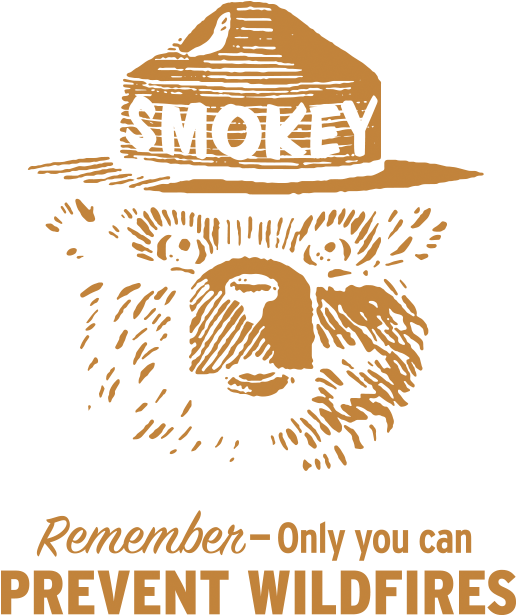 Smokey The Bear Is On His Watch - Semana Da Pessoa Com Deficiencia (700x870), Png Download