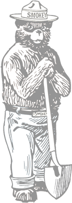 Our Goals - Advanced Graphics 797 Smokey The Bear Life-size Cardboard (300x420), Png Download