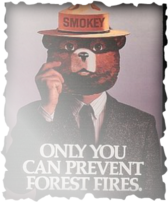 Smokey Bear - Smokey Mask - Vintage Poster (8x12 Acrylic (334x401), Png Download