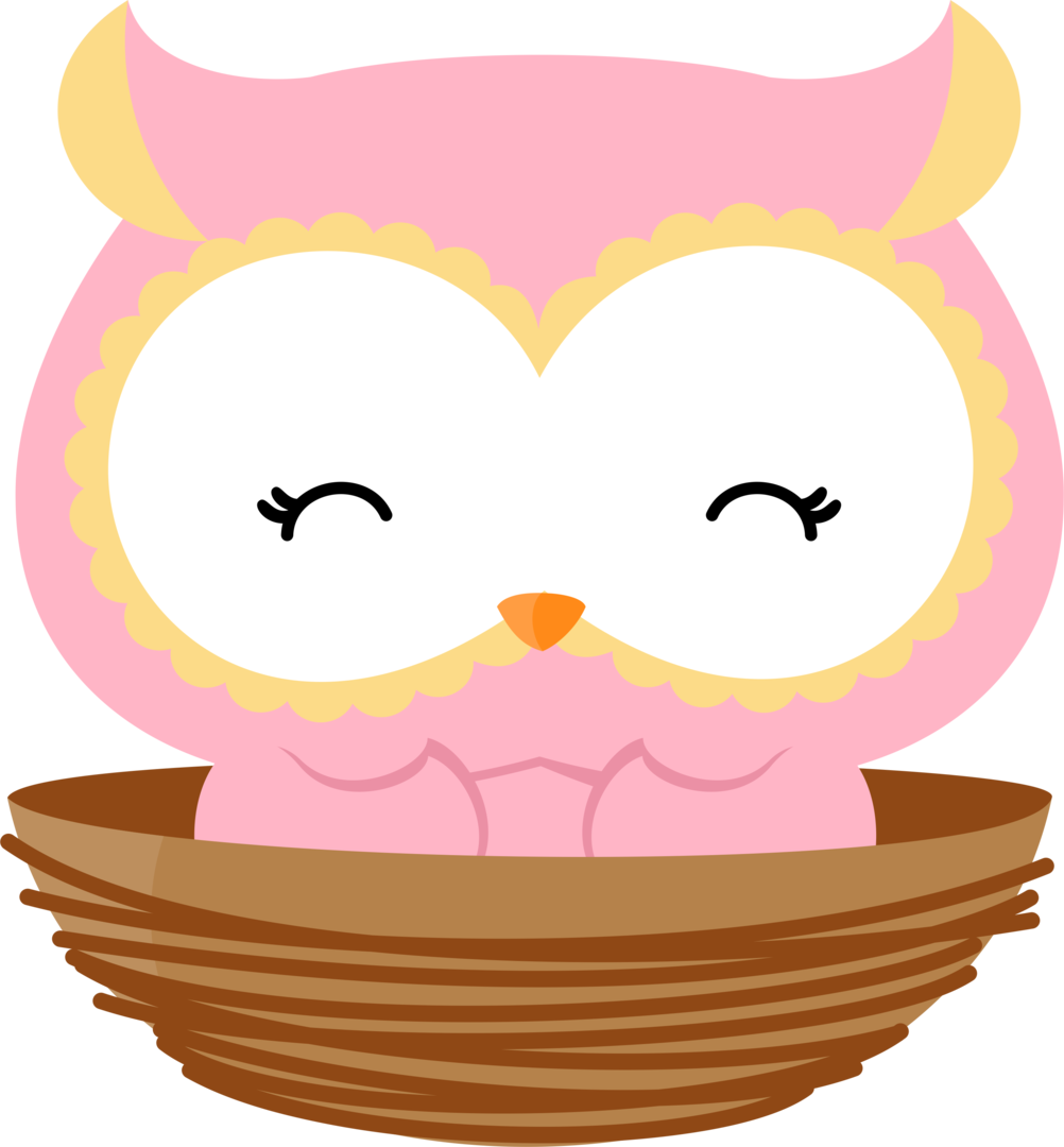 Ver Todas Las Imágenes De La Carpeta Png - Coruja No Ninho Png (1002x1080), Png Download