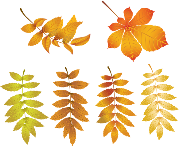 Falling Leaves Png (600x484), Png Download