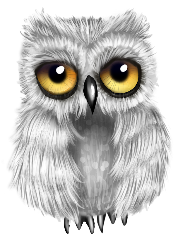 Image Du Blog Zezete2 - Owl (608x800), Png Download