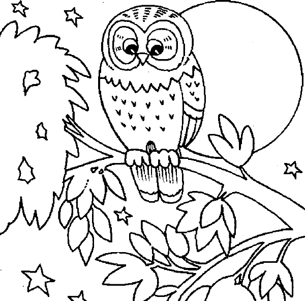 Owl Colouring Sheets Cute Owl Coloring Pages Getcoloringpages - Owls Coloring Pages Printable (600x591), Png Download