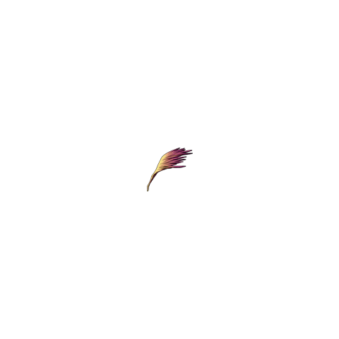 Ffbe Giant Feather - Final Fantasy: Brave Exvius (480x480), Png Download