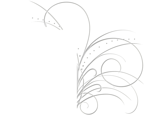 Butterfly On A Camera Transparent (472x405), Png Download