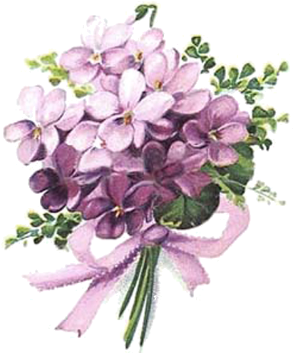 vintage purple flower background