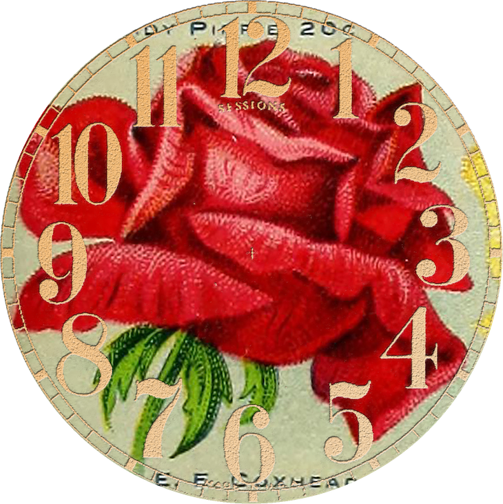 Antique Seed Catalog Reinvented - Paper (730x731), Png Download