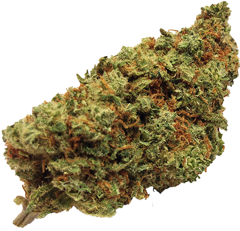 Bag Of Weed Png Png Library - Bag Of Weed Png (500x500), Png Download