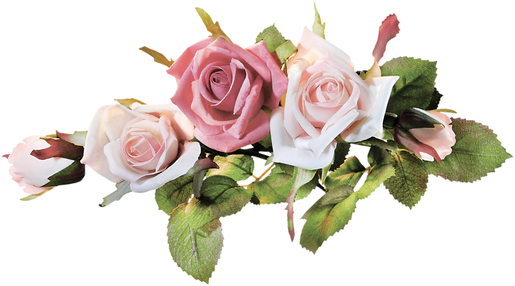 Vc Purity El45 - Galhos De Rosas Png (1024x569), Png Download