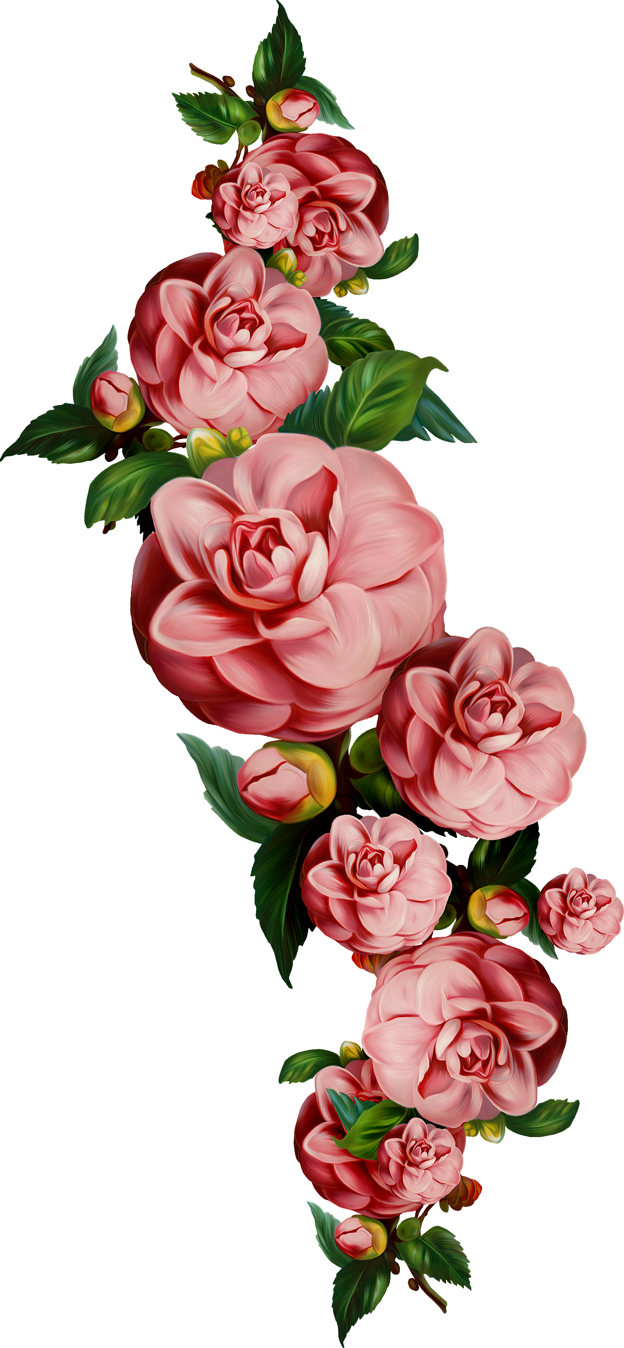 Гирлянда Из Цветов Пнг (1267x2735), Png Download