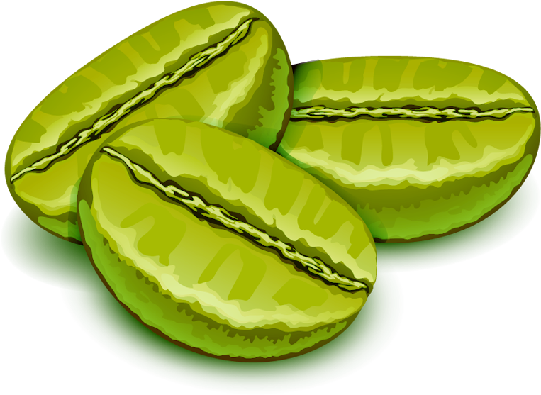 Download Green Coffee Beans Are Soaked In Hot Water To