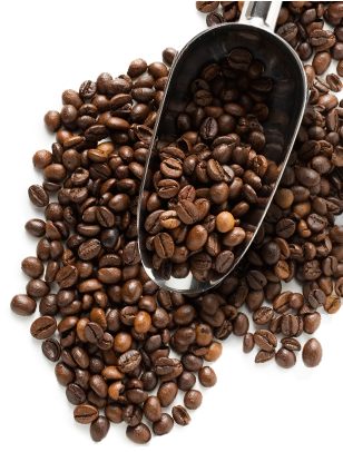 Download Coffee Beans Png Image - Coffee Bean Png Transparent PNG Image  with No Background 