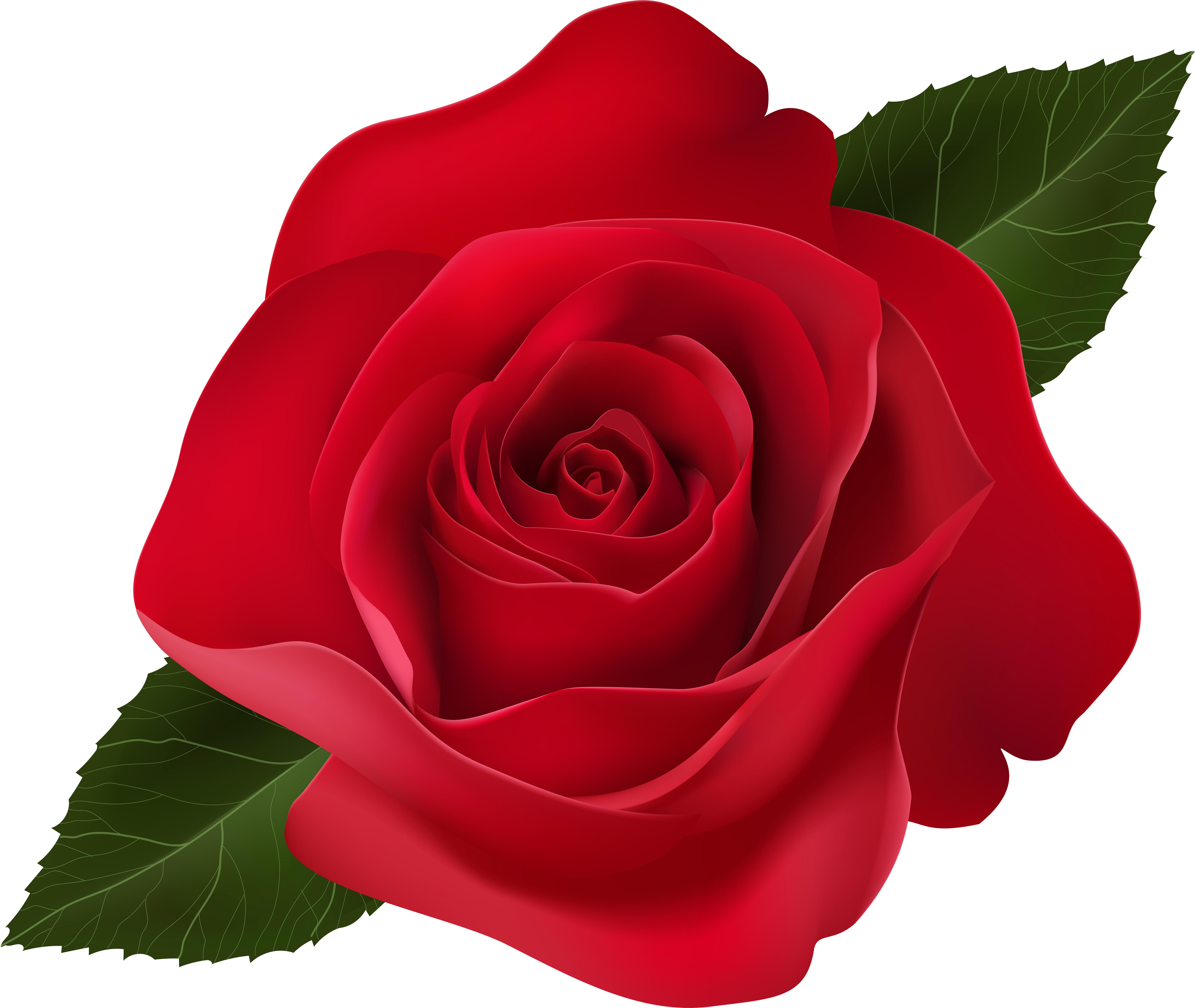 Red Rose Clip Art Png Image (8000x6747), Png Download