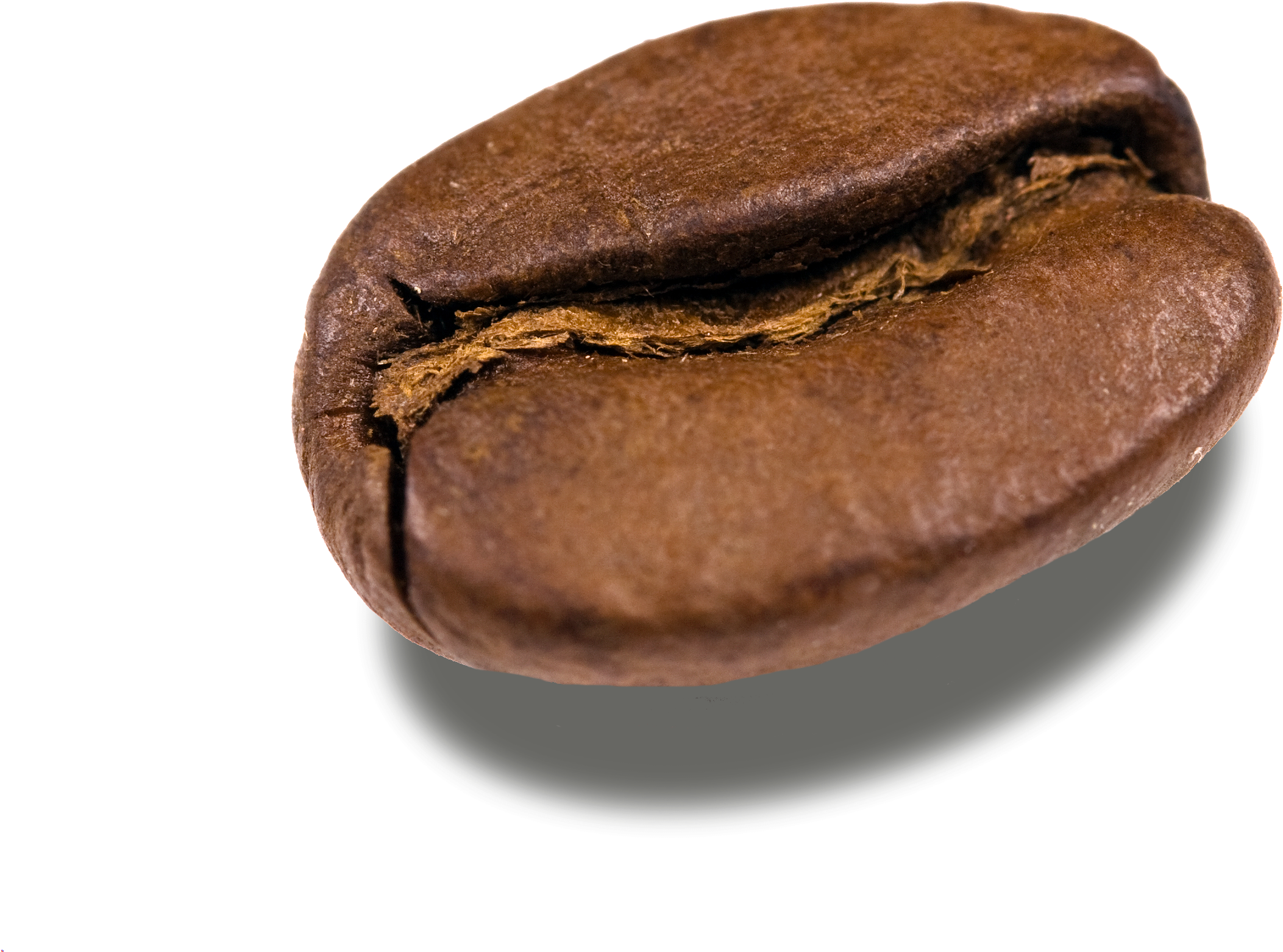 Download Coffee Beans Png Transparent Images - Coffee Bean Transparent Background  PNG Image with No Background 